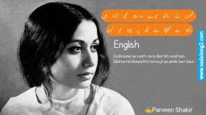 Read more about the article Dushmanon Ke Saath Mere Dost Bhi Azaad Hain – Parveen Shakir