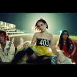 Stream Shirel Music & Lyrics | A MAL TIEMPO BUENA CARA